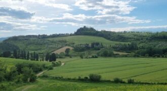 Vendesi Villa Storica con terreno