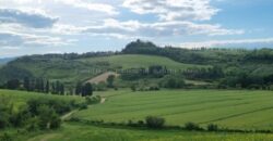 Vendesi Villa Storica con terreno