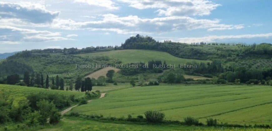 Vendesi Villa Storica con terreno