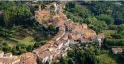 Vendesi Villa Storica con terreno
