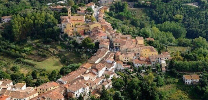 Vendesi Villa Storica con terreno