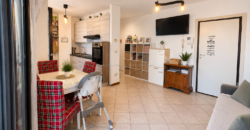 VENDESI APPARTAMENTO CON TERRAZZA, GIARDINO E AMPIO GARAGE
